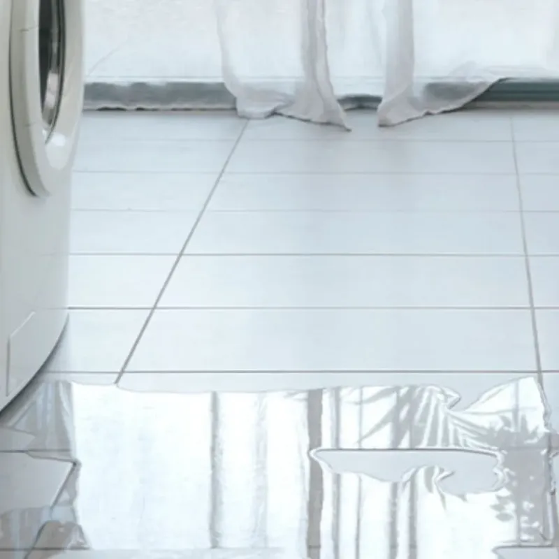Appliance Leak Cleanup in Crawfordville, GA