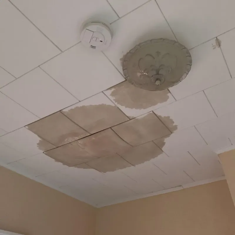 Ceiling Water Damage Repair in Crawfordville, GA