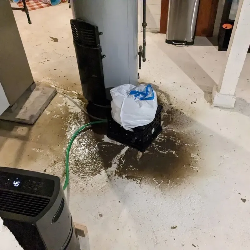 Sewage Backup Cleanup Service in Crawfordville, GA